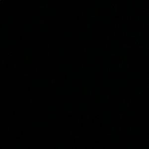 Meet your Posher, Bobbi